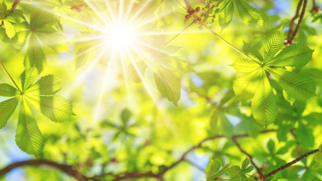 Loving Kindness Meditation