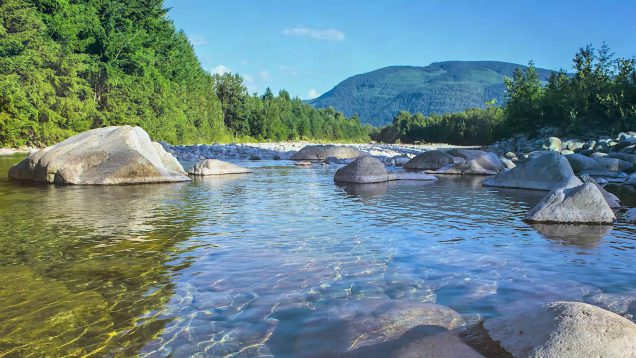 A Meditation to Train Awareness