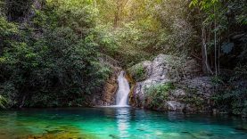 Mediate in the Midst of Noise and Distraction