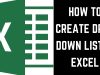 How To Create a Drop-down List in Excel