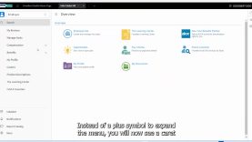 Accessing HR Applications for Employees