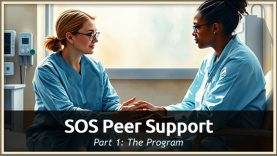 SOS Peer Support Part 1: The Program