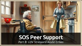 SOS Peer Support Part 8: Life Stressors/Acute Crises
