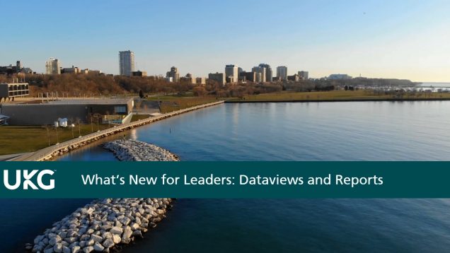 What’s New For Leaders – Dataviews and Reports