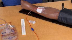 Therapeutic Phlebotomy Procedure